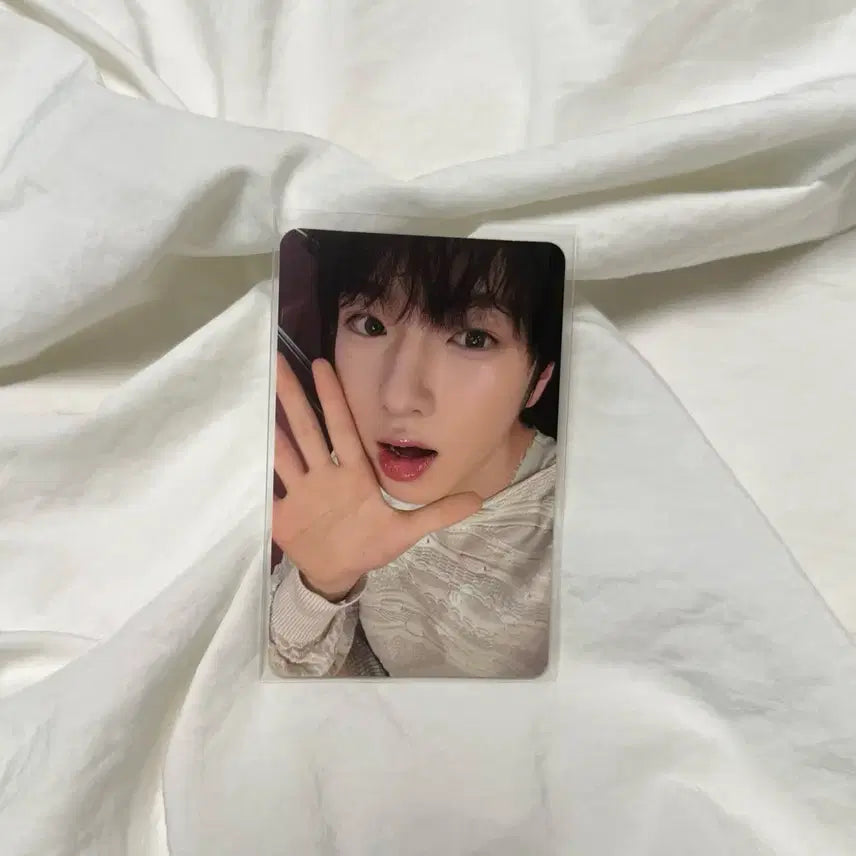 엔시티위시 스테디 트레카 사쿠야 포카 양도