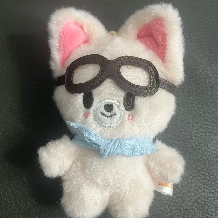 스키주 폭시니 파일럿