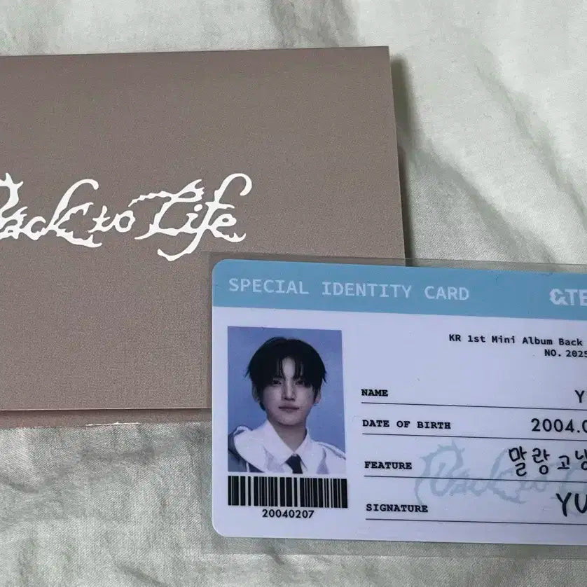 앤팀 팝업 유마 아이디카드 천사증 양도