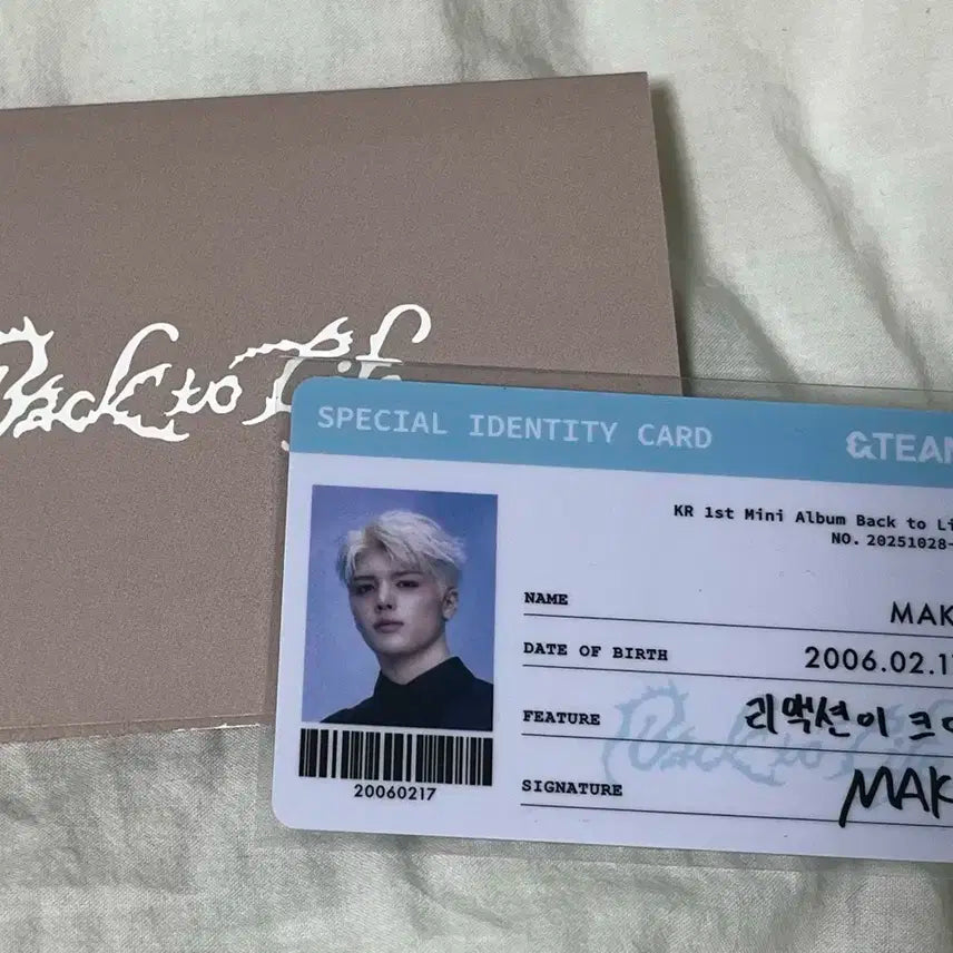 앤팀 팝업 마키 아이디카드 천사증 양도