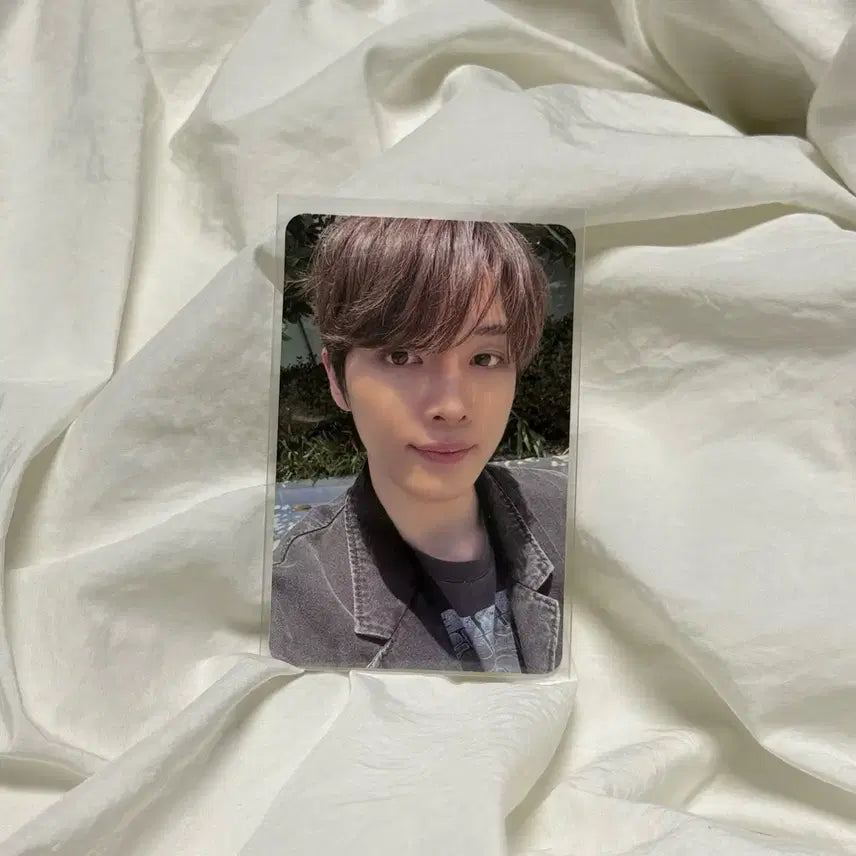 라이즈 성찬 붐붐베 포카 양도