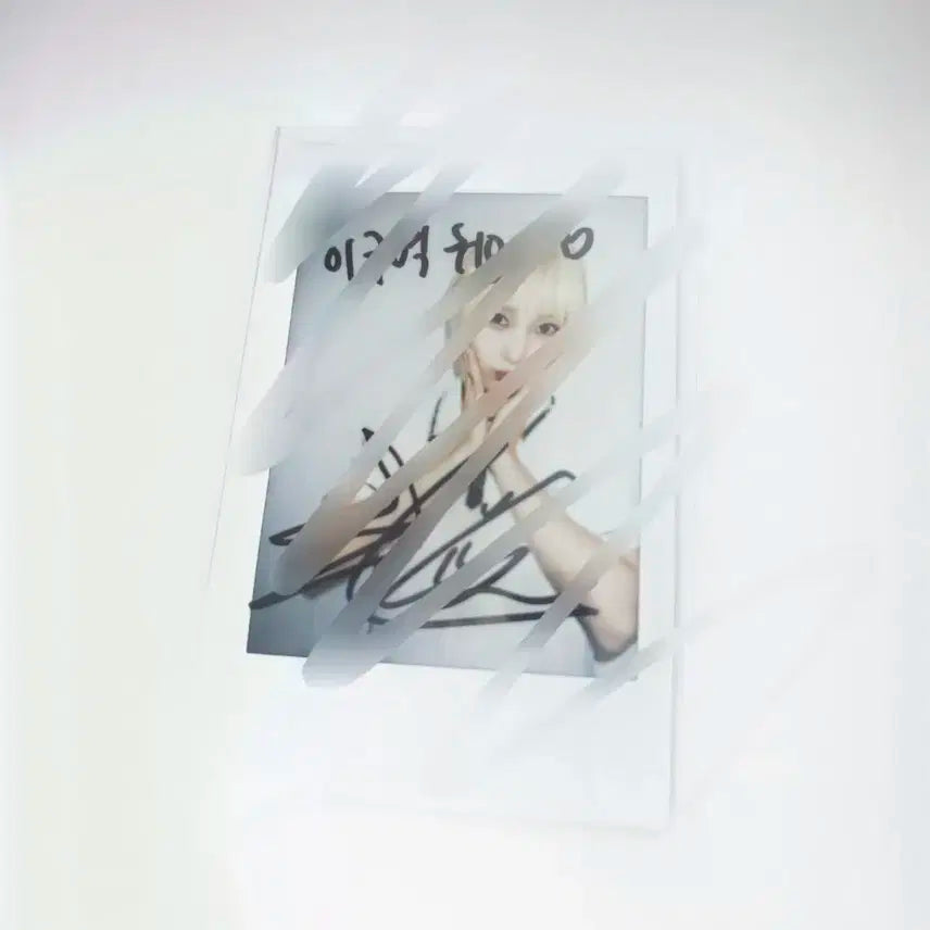 아이칠린 초원 싸폴 양도