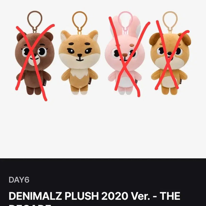 데이식스 데니멀즈 20 케