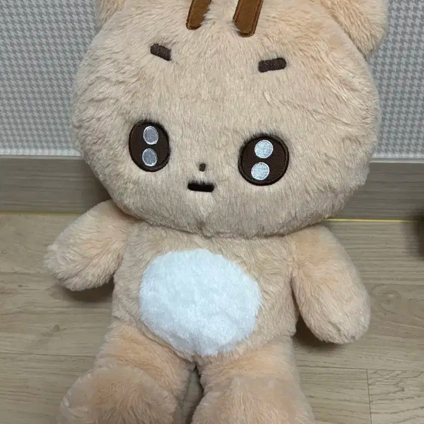 왕바투 태현 판매