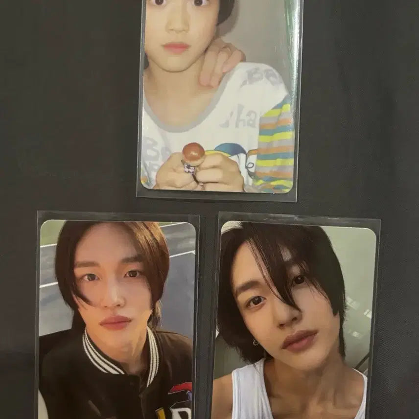 라이즈 원빈 포카 일괄