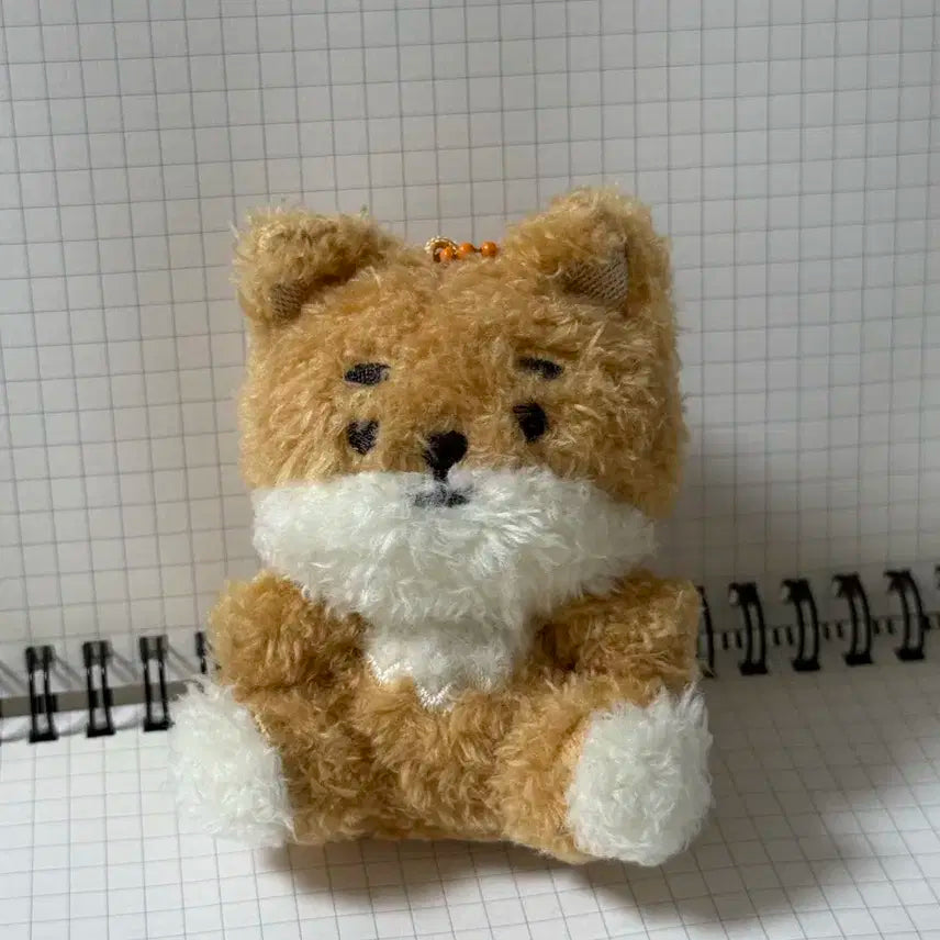 데이식스 데멀 SITTING Ver. 앉은케