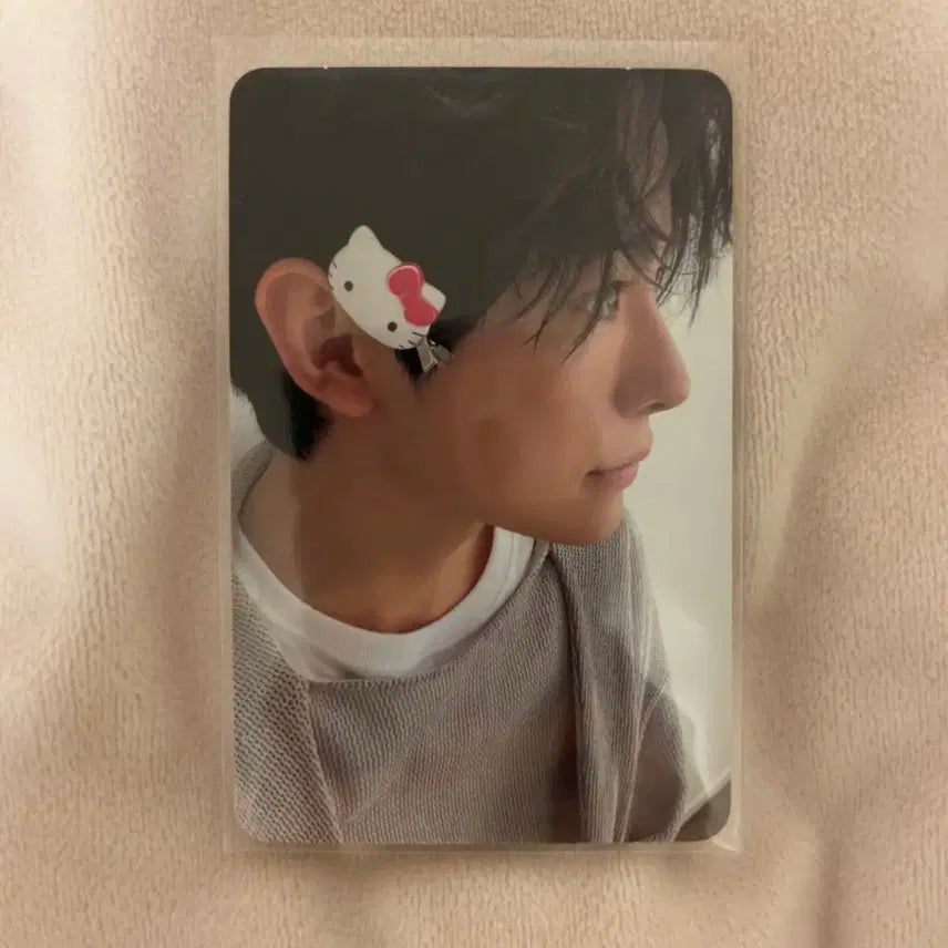 엔시티위시 스테디 키티 유우시 판매