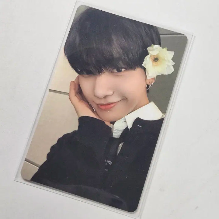 보넥도 명재현 디액션 위버스 일반반 특전 미공포 양도