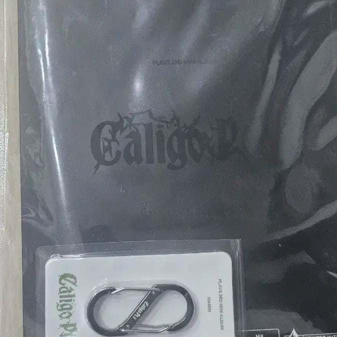 plave Caligo Pt.1 앨범 퓨지티브 하민 카라비너