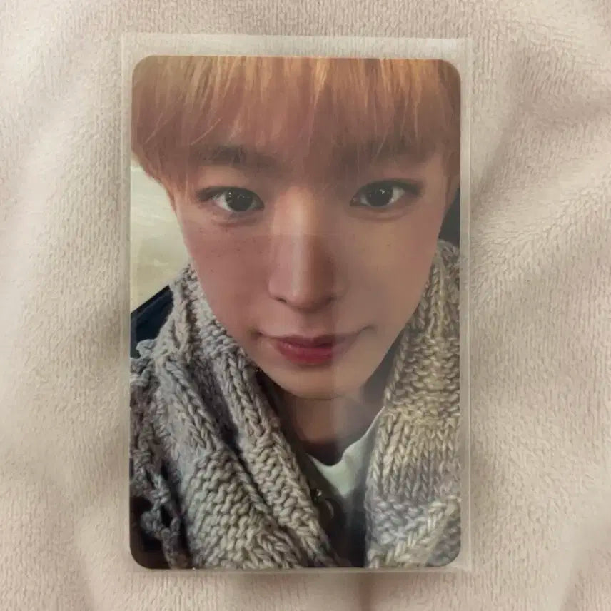 엔시티위시 위시앨범 데뷔앨범 유우시 포카 판매