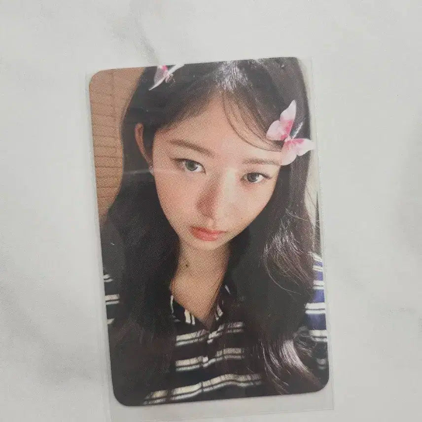 아이브 레이 콘서트 럭키드로우 나비핀 포토카드