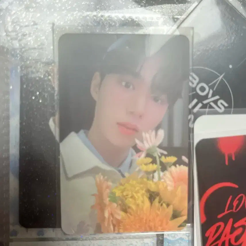 김준서 포카 판매합니다 보이즈플래닛2 위아이