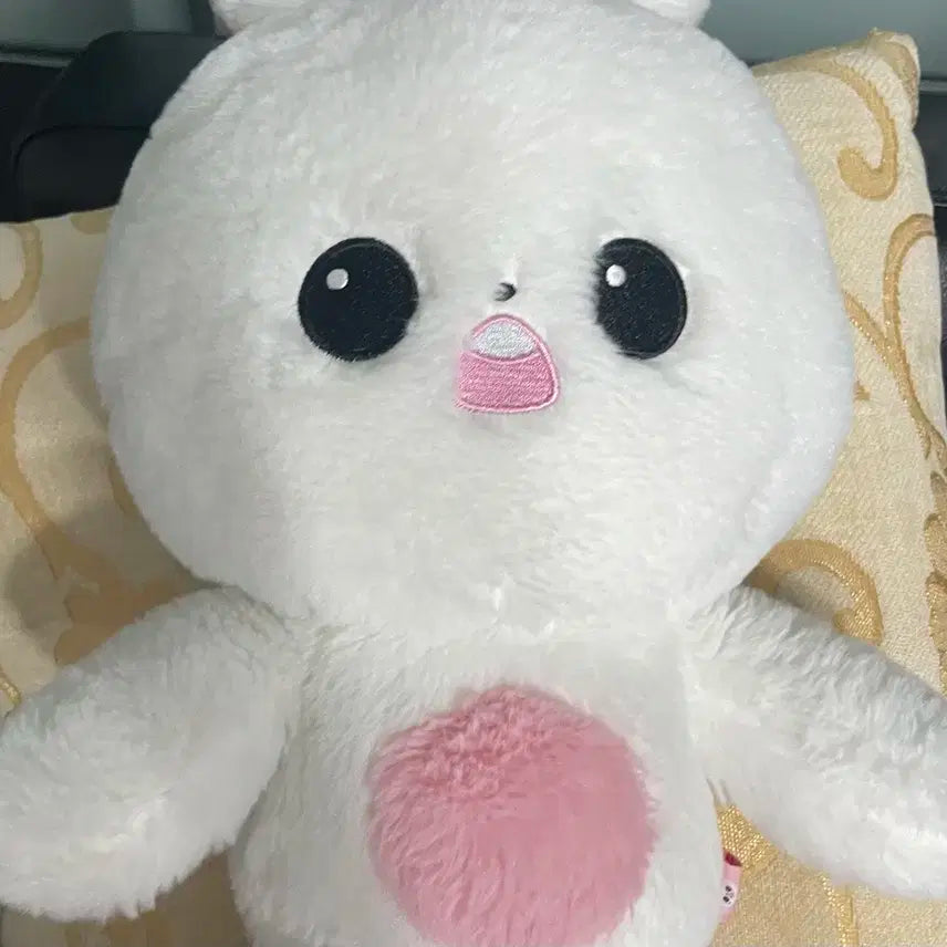 아이브 장원영 버니녕 왕니녕