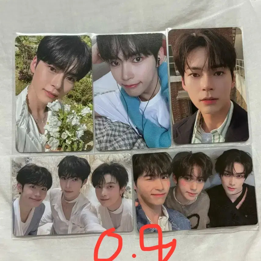 제로베이스원 성한빈 포카 일괄 양도