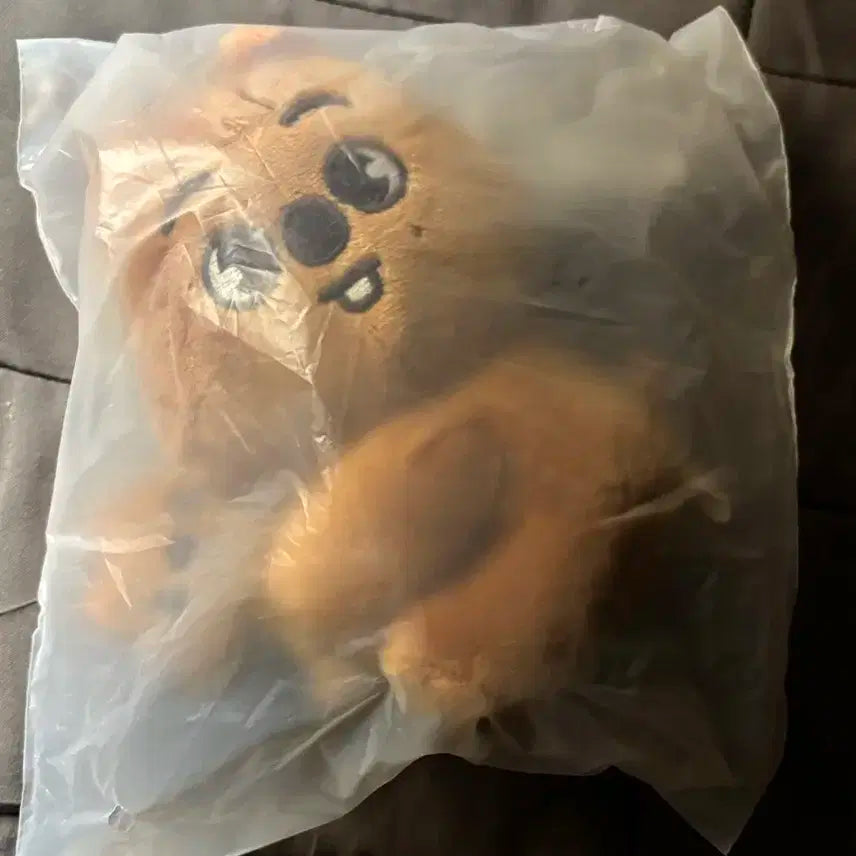 스키즈 앙콘 팝업 엠디 스키주 마그넷 플러시 세트 한쿼카