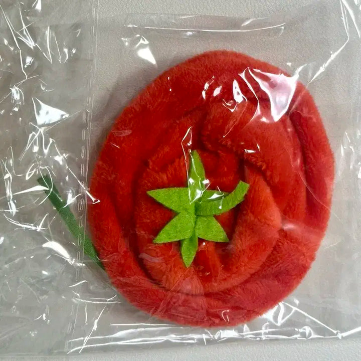 nct 해찬 인형 이곰도 이톰도 판매