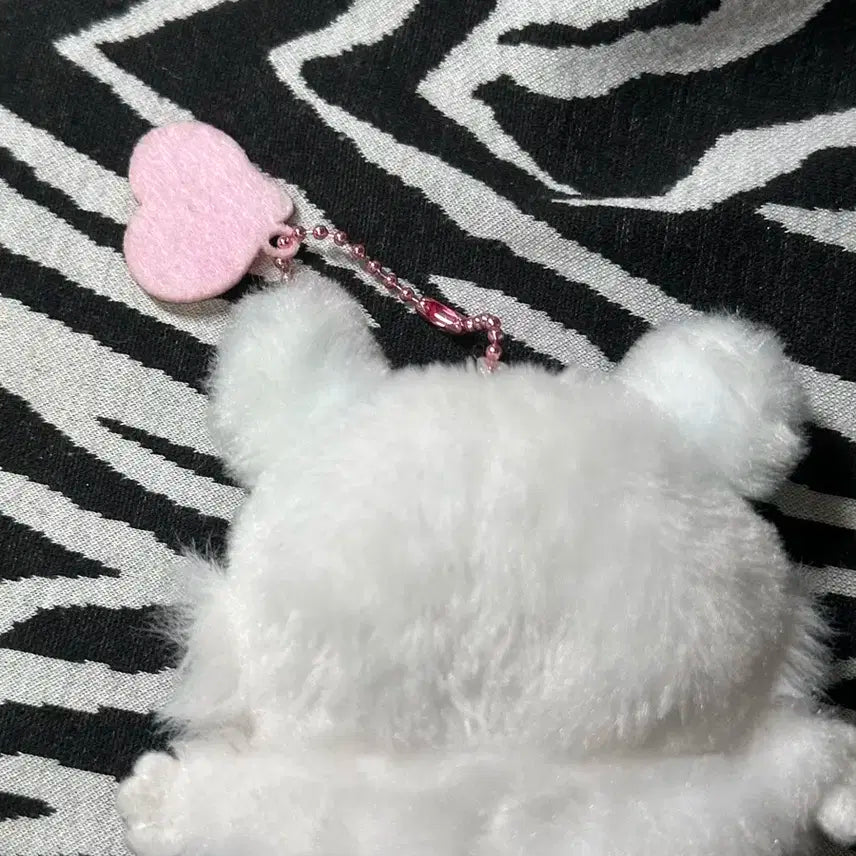 치이카와 먼작귀 날아오르는 모몽가