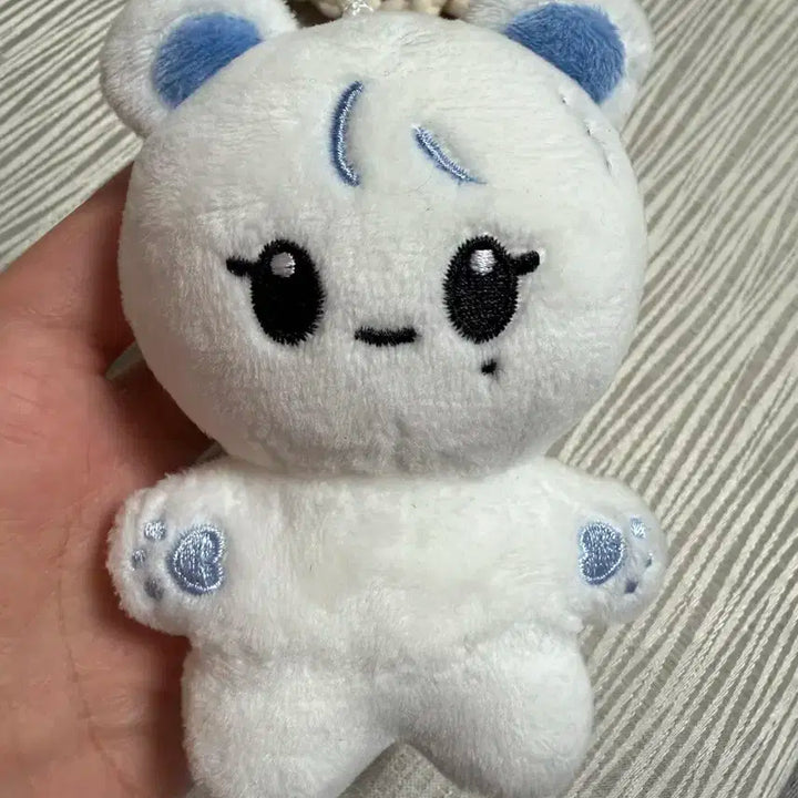 부베어 세븐틴승관인형