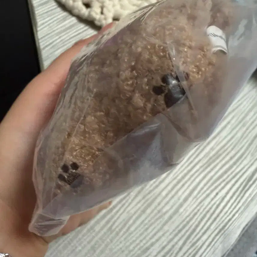 쪼푸밍 민규인형