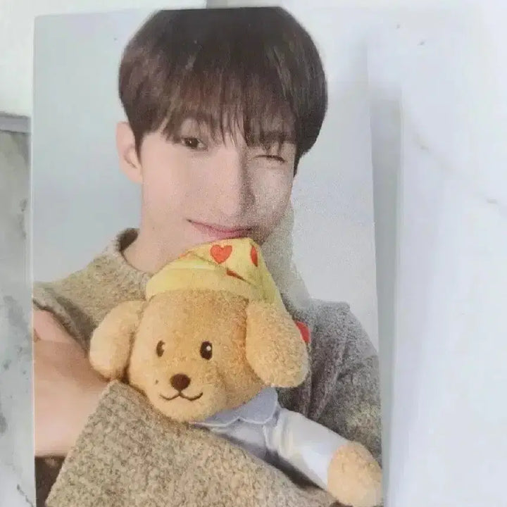 새상품) 세븐틴 아티스트메이드 컬렉션 인형 판매합니다