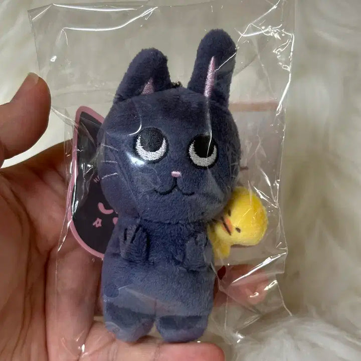 (미개봉)라이즈 토냥덕 1기 10센치 인형 양도