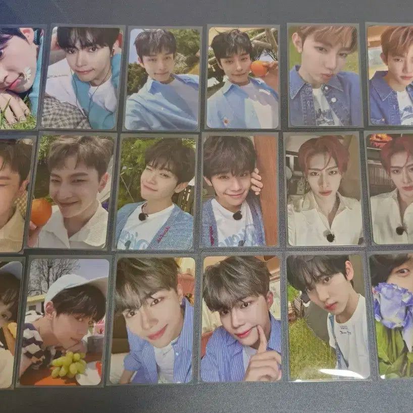 제베원 제로즈 2기 키트 포카 양도합니다