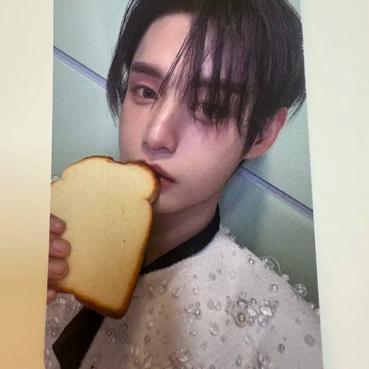 제로베이스원 zb1 blue paradise 뮤직플랜트 특전 김지웅