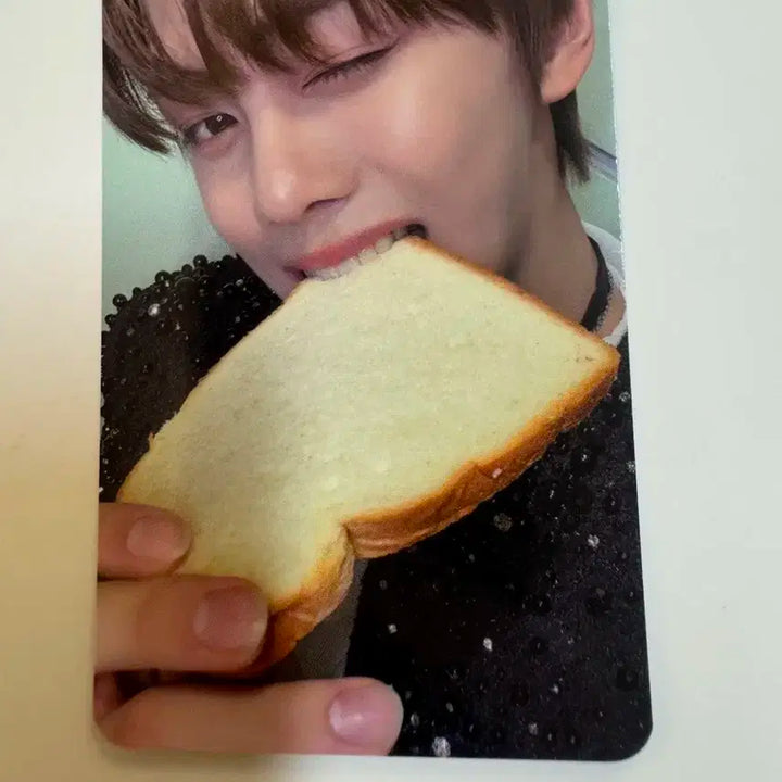 제로베이스원 zb1 blue paradise 뮤직플랜트 특전 김규빈