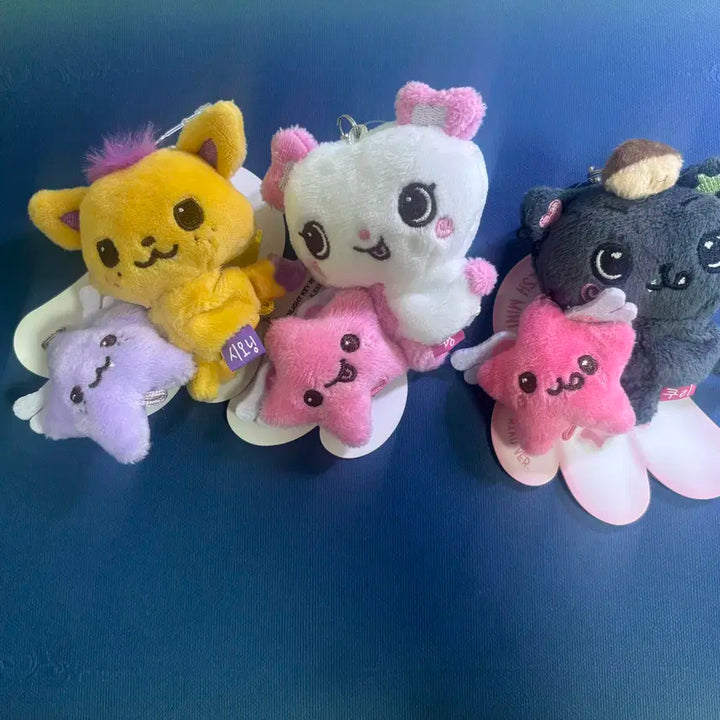 엔시티 위시 미니돌 위시돌 시오닝 쿠리 팡이 시온 사쿠야 리쿠