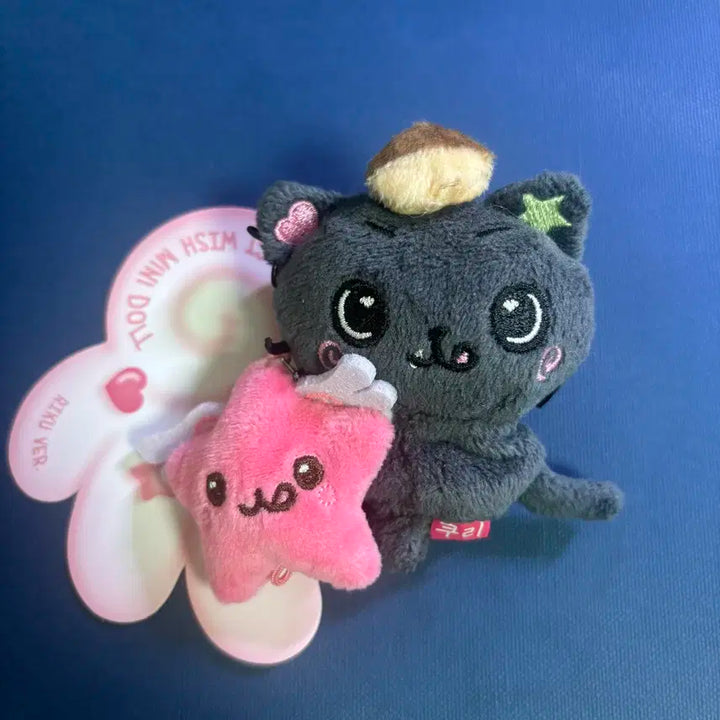 엔시티 위시 미니돌 위시돌 시오닝 쿠리 팡이 시온 사쿠야 리쿠