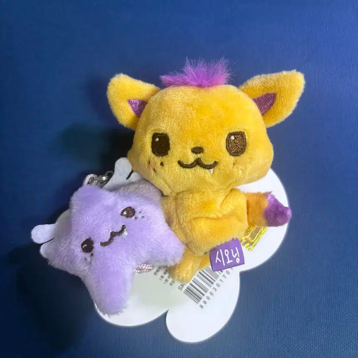 엔시티 위시 미니돌 위시돌 시오닝 쿠리 팡이 시온 사쿠야 리쿠