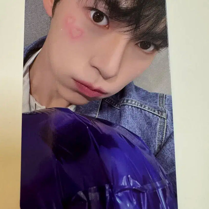 제로베이스원 zb1 blue paradise 팝업 7만원 제베원 성한빈