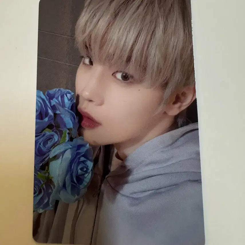 제로베이스원 zb1 blue paradiseXOUR bakery 김태래