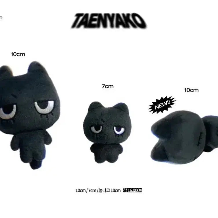 보이넥스트도어 태산 태냐코 10cm 인형