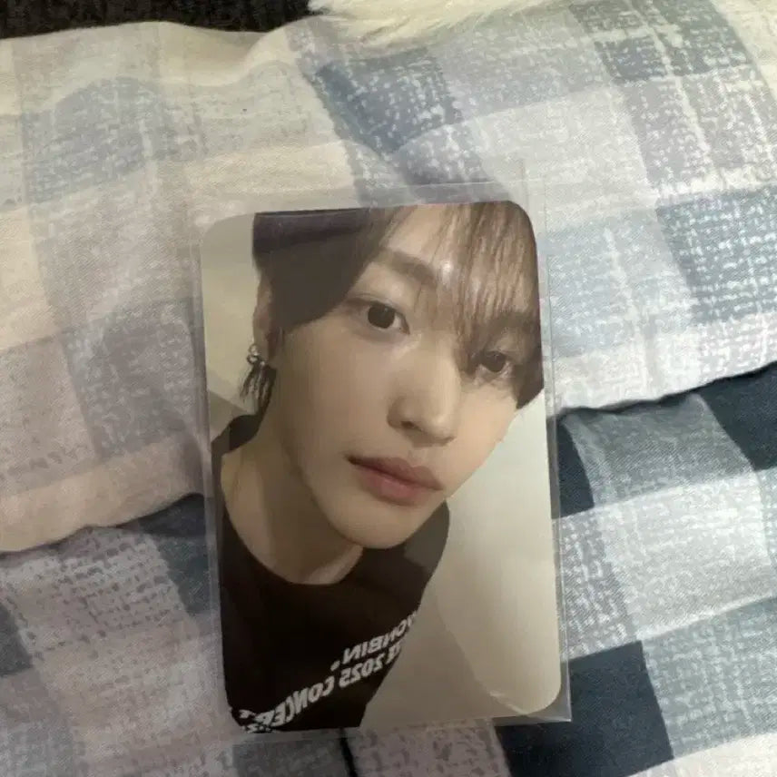 라이즈 원빈 포카