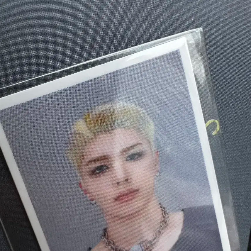 앤팀 back to life 2주차 마키 공방 포카 증사 세트