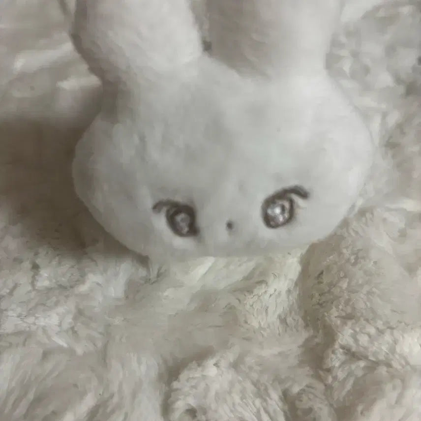 엔시티117 도영 도행이 도행 빙키 인형 양도합니다