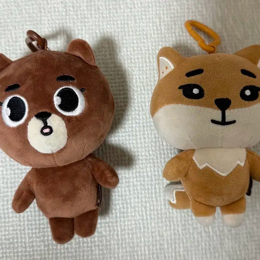 데이식스 데니멀즈 24 방 케 일괄