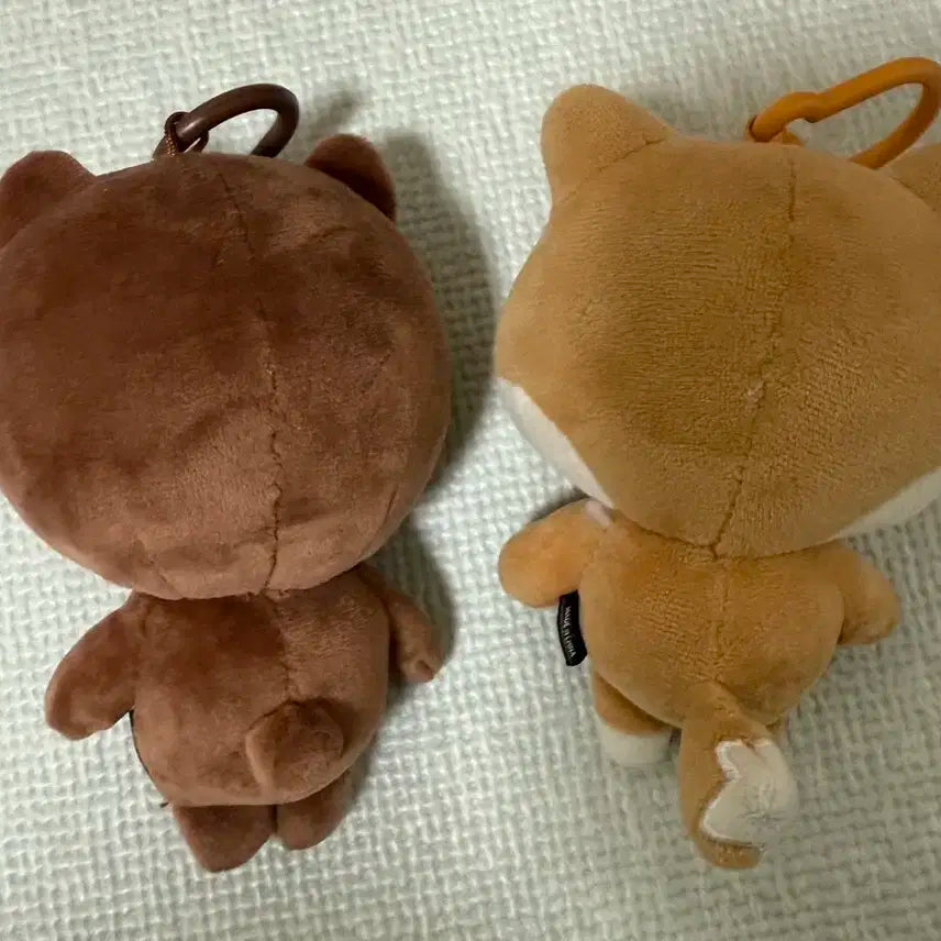 데이식스 데니멀즈 24 방 케 일괄