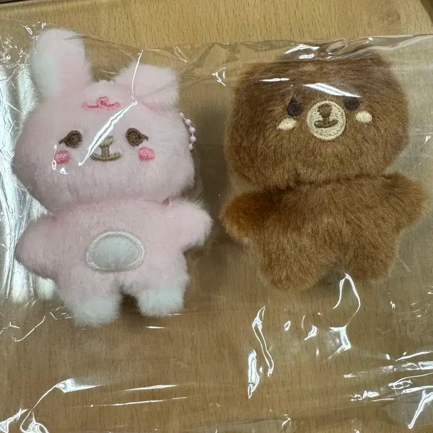 데이식스 쁘쁘멀 방 필 일괄