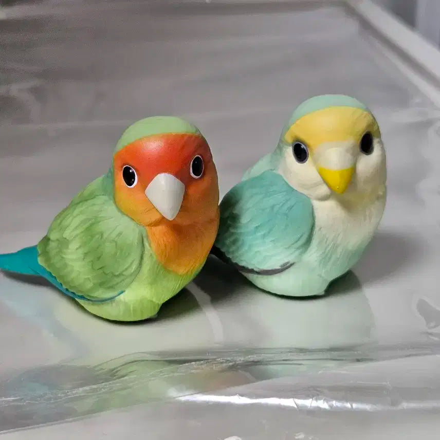 손바닥 친구들 모란앵무 (고사쿠라) 세트 피규어 일괄