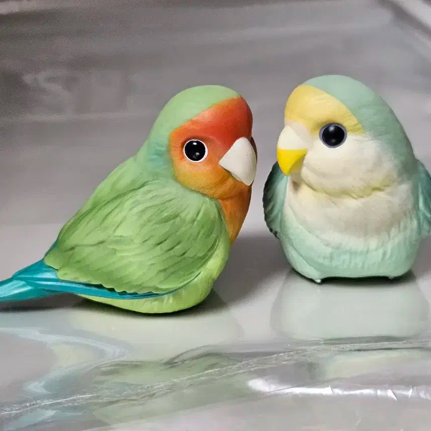 손바닥 친구들 모란앵무 (고사쿠라) 세트 피규어 일괄