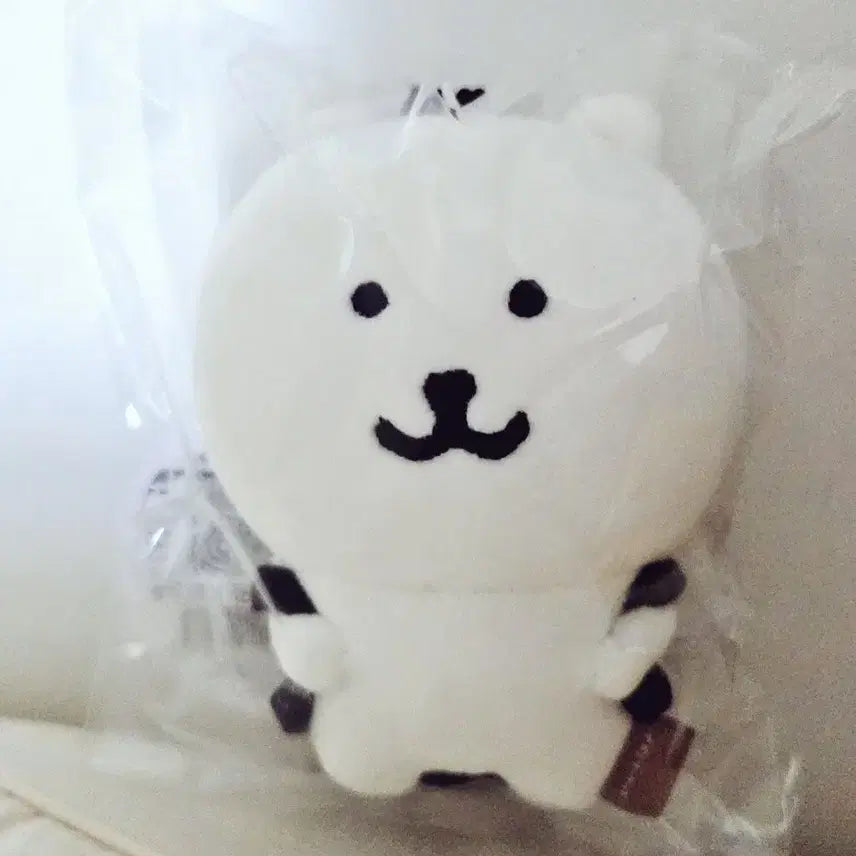 가방곰 백팩곰 농담곰 팝업 나가노 마켓 부산 팝업