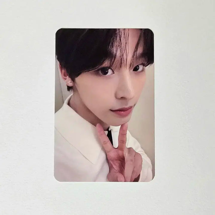 엔시티 위시 리쿠 WISH 블루드림미디어 포카 양도 판매