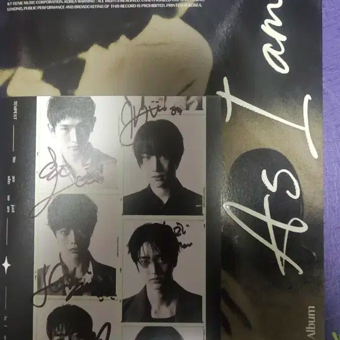 템페스트 TEMPEST 비매 싸인앨범