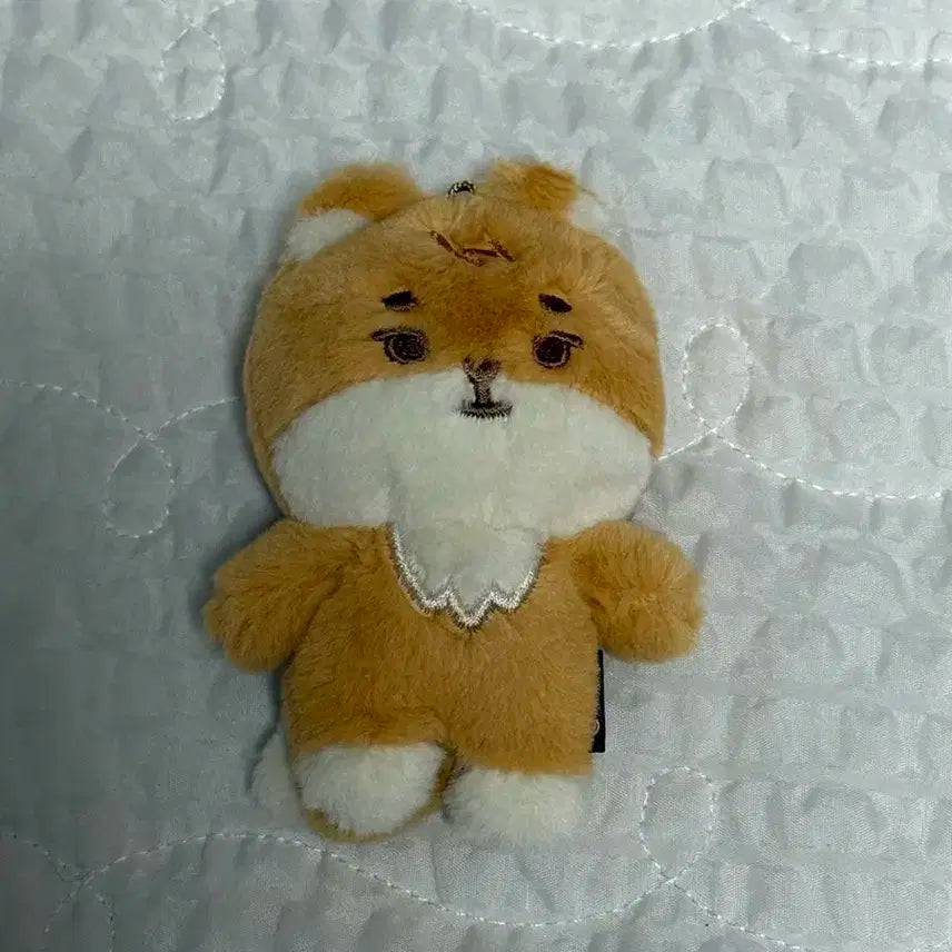 쁘띠멀즈 KE(영케이) 인형 팝니다