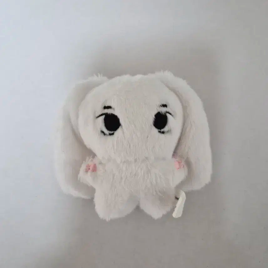 뉴진스 뉸송이들 인형 해린 양도