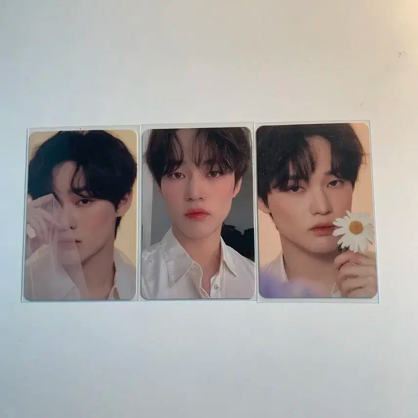 엔시티드림 캔디랩 천러