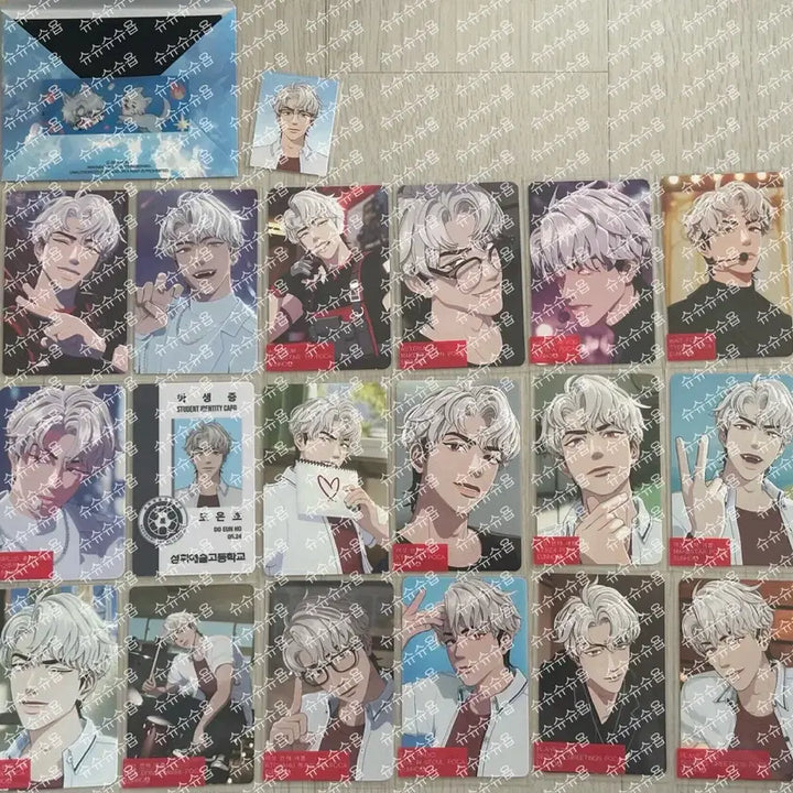 플레이브 은호 포토카드 54장+애니플러스 증사 일괄