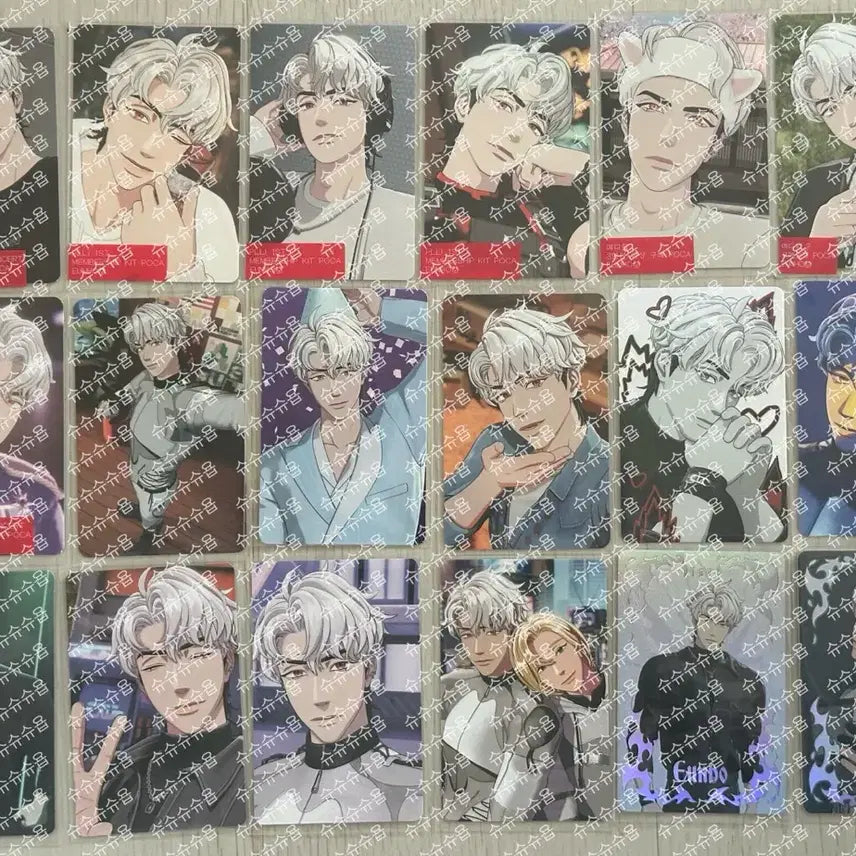 플레이브 은호 포토카드 54장+애니플러스 증사 일괄